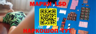 индика Лесосибирск