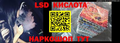 индика Лесосибирск
