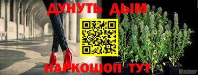 индика Лесосибирск