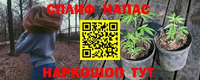 индика Лесосибирск