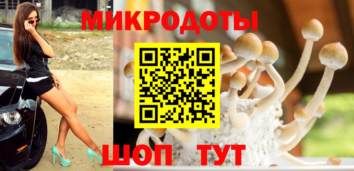 Галлюциногенные грибы MAGIC MUSHROOMS  купить  сайты  Зеленогорск  Вход с VPN  Галлюциногенные грибы MAGIC MUSHROOMS 
